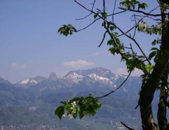 BnB Bed and Breakfast Chez Bibiane & RenE
Chardonne Vevey Montreux Lavaux Lake of Geneva
Suisse Switzerland Schweiz Swizzera
Vue sur la Dent de Jaman, les Rochers de Naye